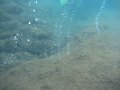 04-Caribbean Cruise - Dominica